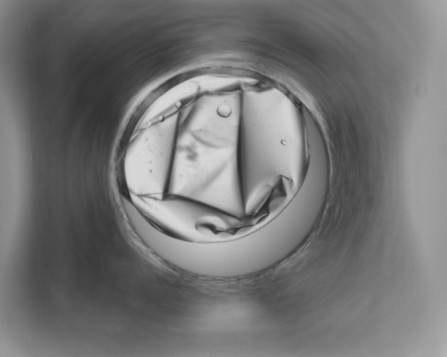 X0000111040960200907231533