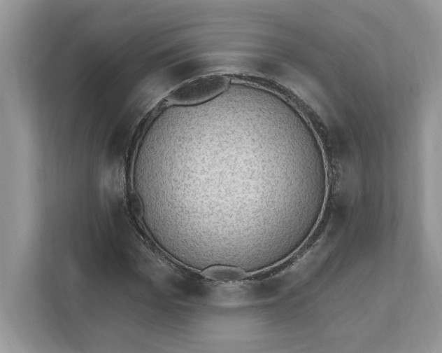 X0000111040969200907231532