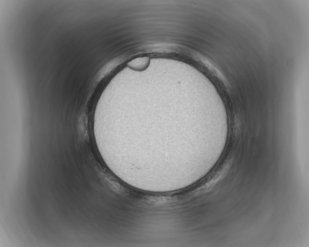 X0000111040970200907231532