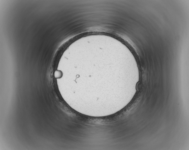 X0000111040971200907231532