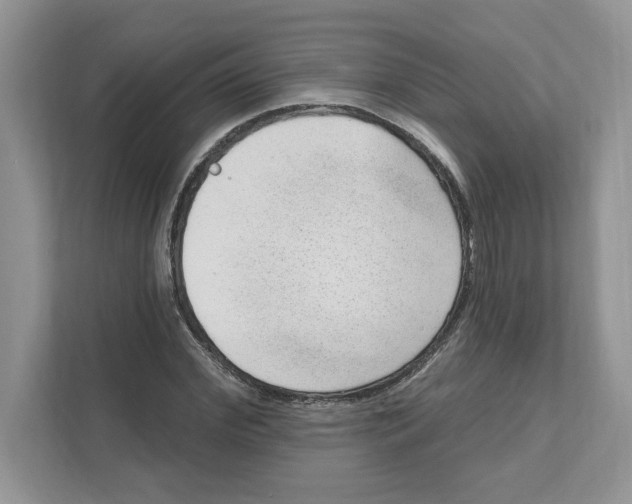 X0000111040972200907231532