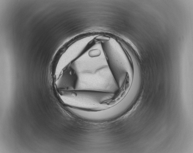 X0000111040973200907231532