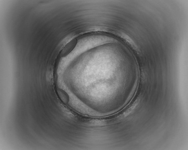 X0000111040977200907231532