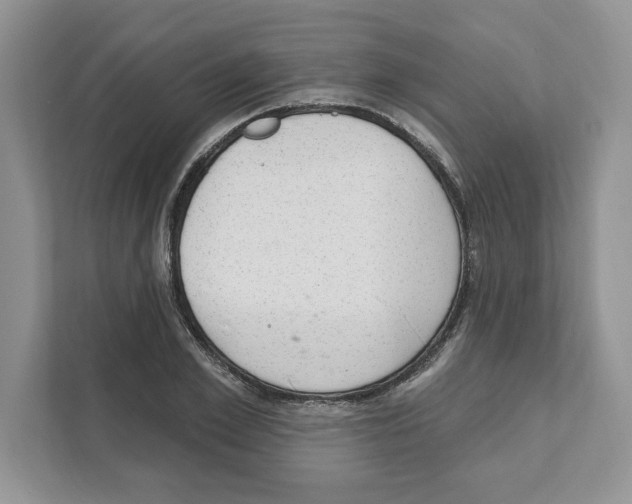 X0000111040981200907231532