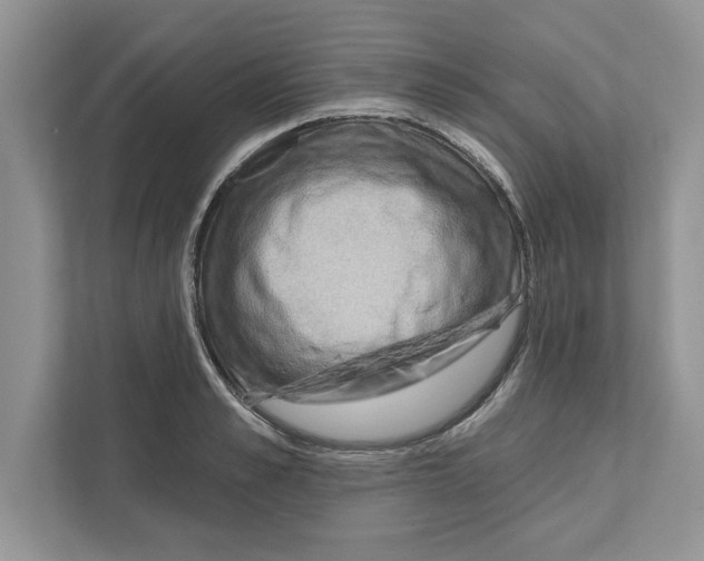 X0000111040989200907231532