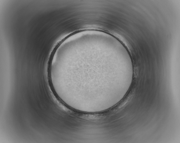 X0000111040995200907231532