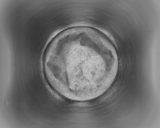 X0000111040998200907231532