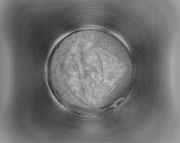 X0000111041003200907231532