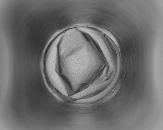 X0000111041005200907231532