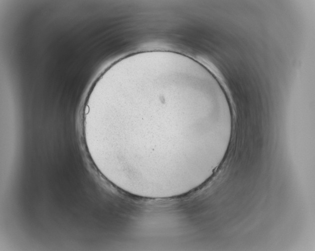 X0000111041008200907231532