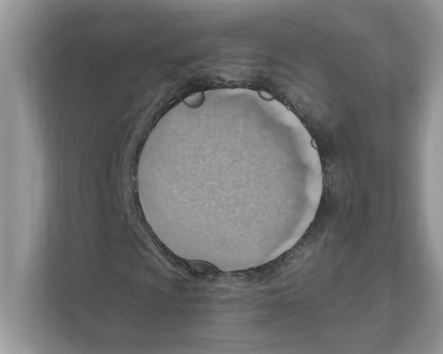 X0000111041009200907231531