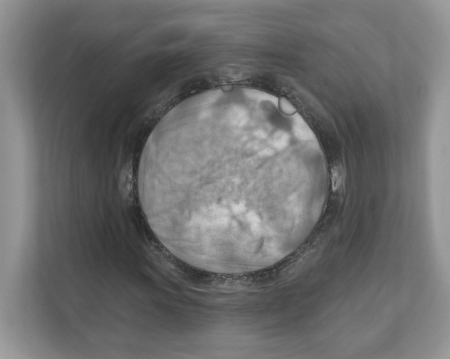 X0000111041011200907231531