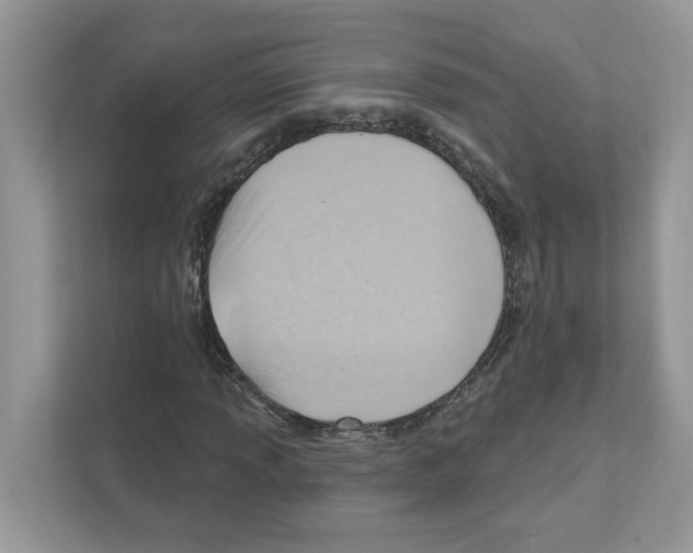 X0000111041013200907231531