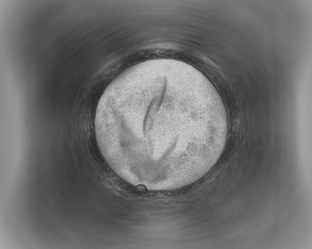 X0000111041014200907231531