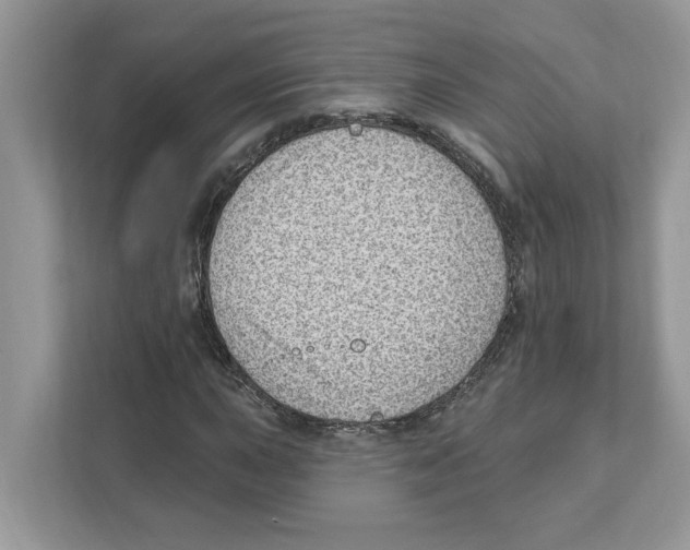 X0000111041015200907231531