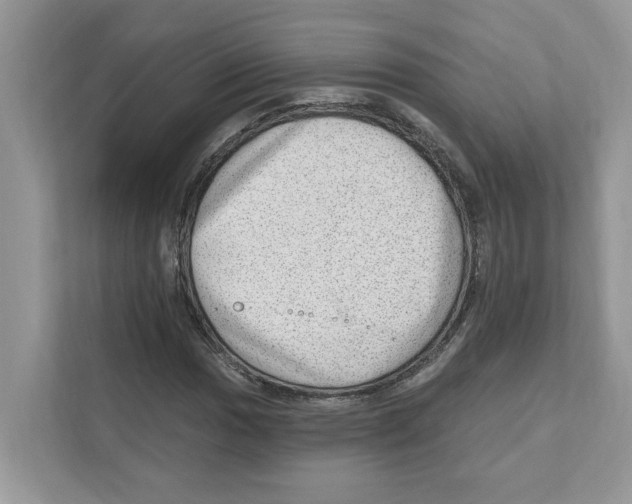 X0000111041017200907231531