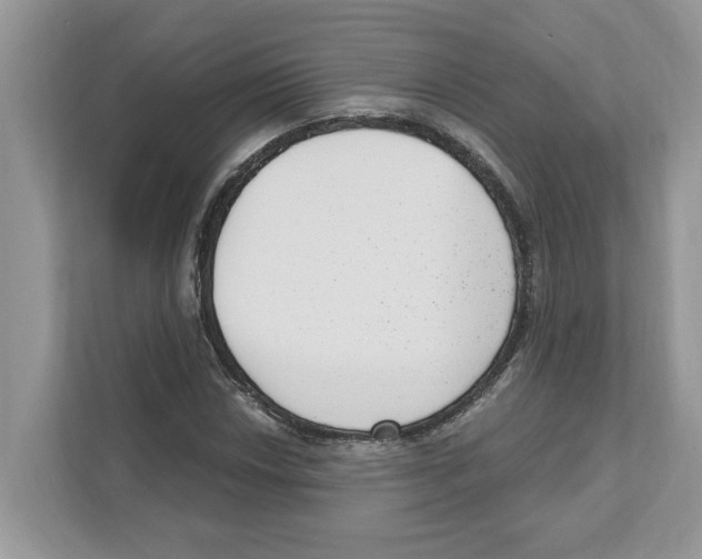 X0000111041018200907231531