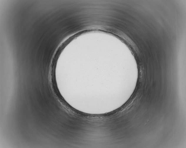 X0000111041020200907231531