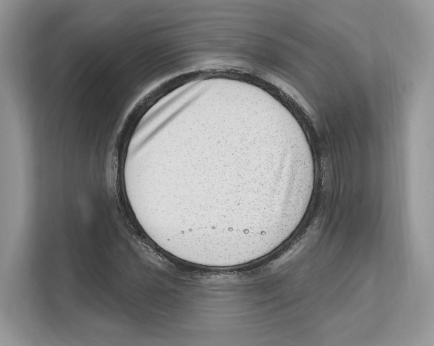 X0000111041021200907231531