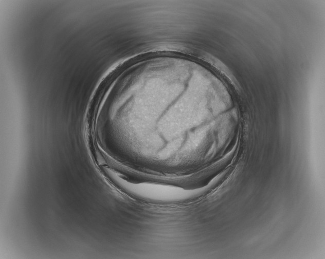 X0000111041024200907231531