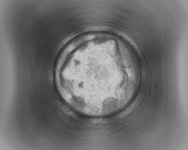 X0000111041025200907231531