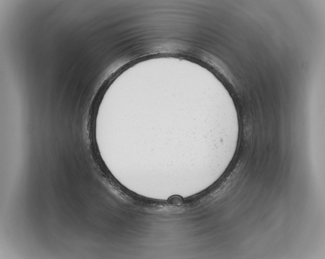 X0000111041026200907231531