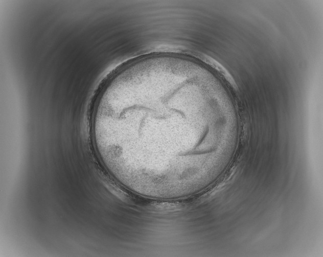 X0000111041027200907231531