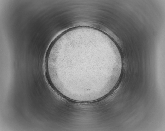 X0000111041028200907231531