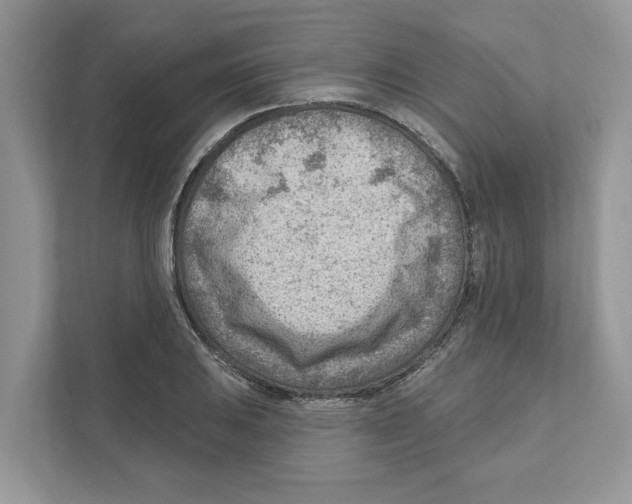 X0000111041031200907231531