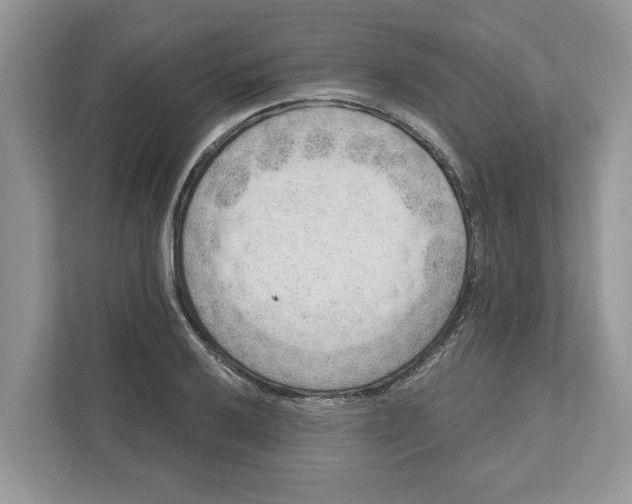 X0000111041032200907231531