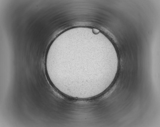 X0000111041033200907231531