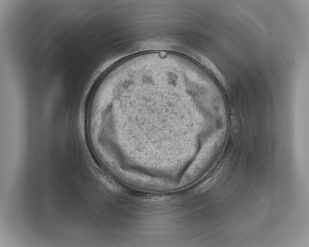 X0000111041035200907231531