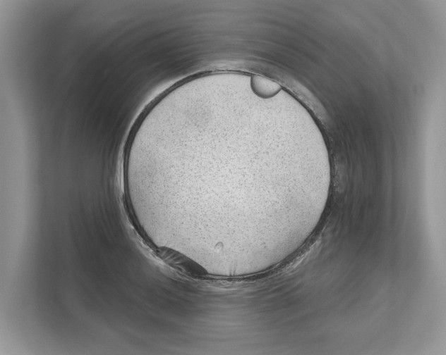 X0000111041036200907231531