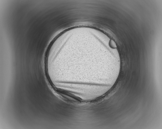 X0000111041038200907231531