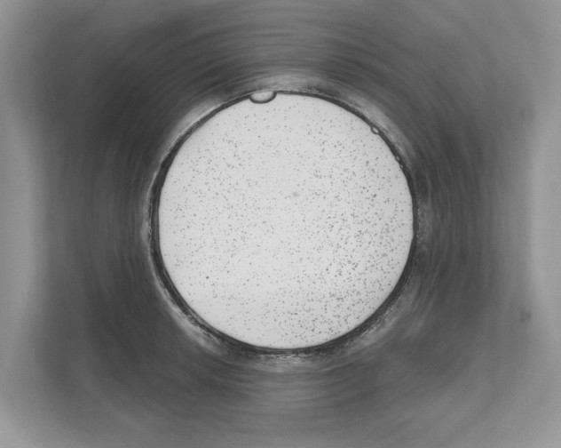 X0000111041042200907231531