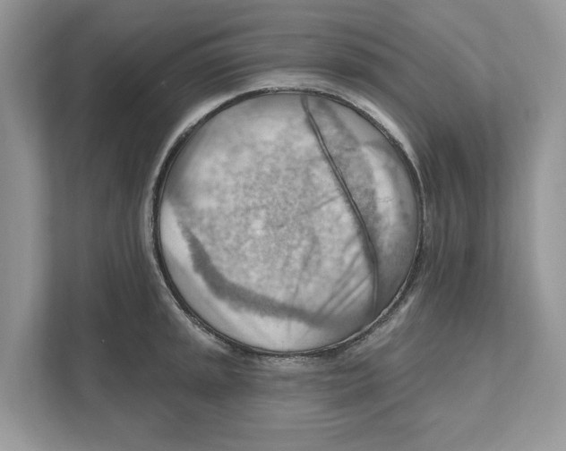 X0000111041045200907231531