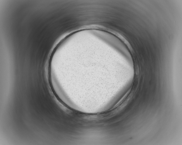 X0000111041054200907231531