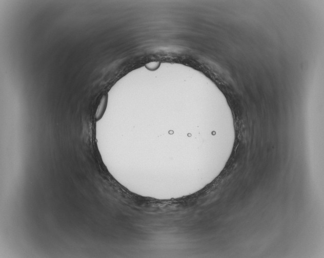 X0000111041061200907231531