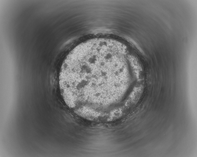 X0000111041063200907231531