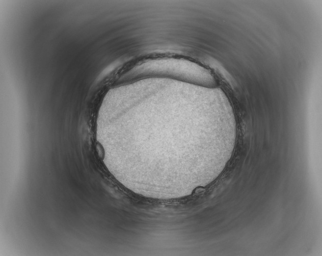 X0000111041064200907231531