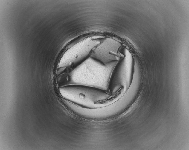 X0000111041065200907231531