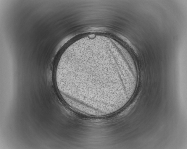 X0000111041066200907231531