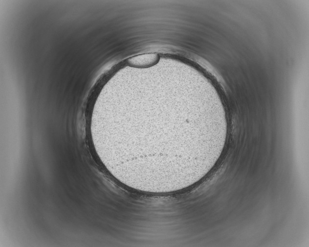 X0000111041067200907231531