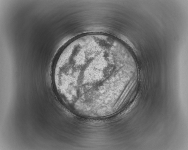 X0000111041071200907231531