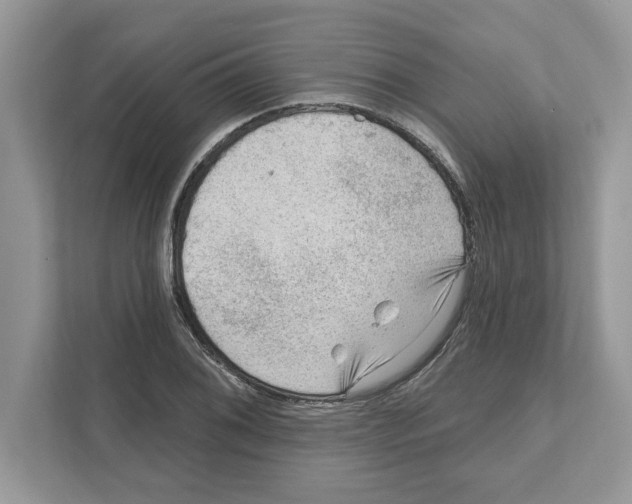 X0000111041076200907231531