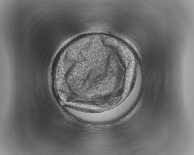 X0000111041077200907231531