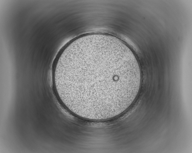 X0000111041079200907231531