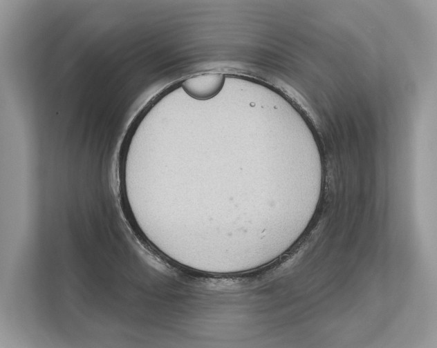 X0000111041082200907231531