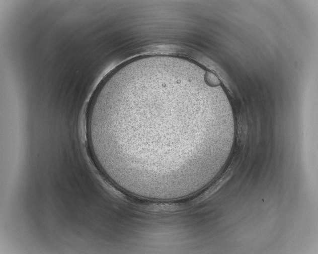 X0000111041083200907231531