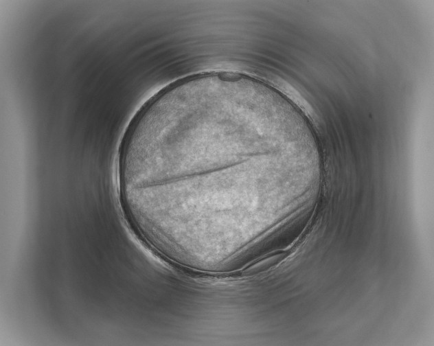 X0000111041084200907231531